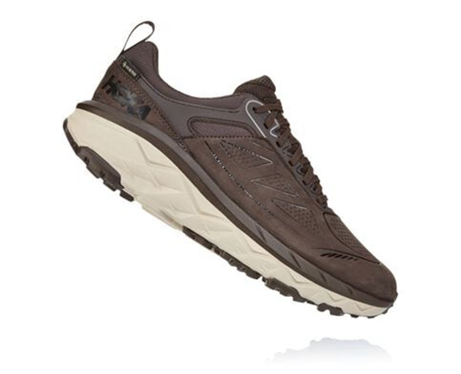 Hoka One One Spor Ayakkabı Erkek Kahverengi - Challenger Kısa Gore-Tex - UJ0674539